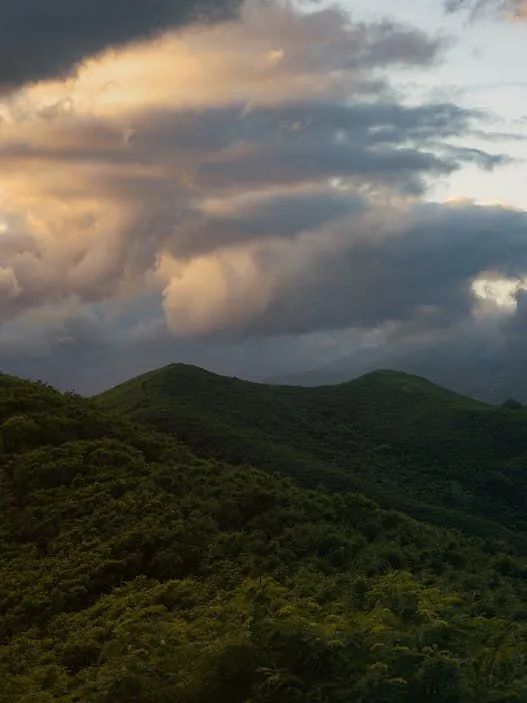 素色時光系列 | 一抹素色，訴說著雅韻時光(圖25)